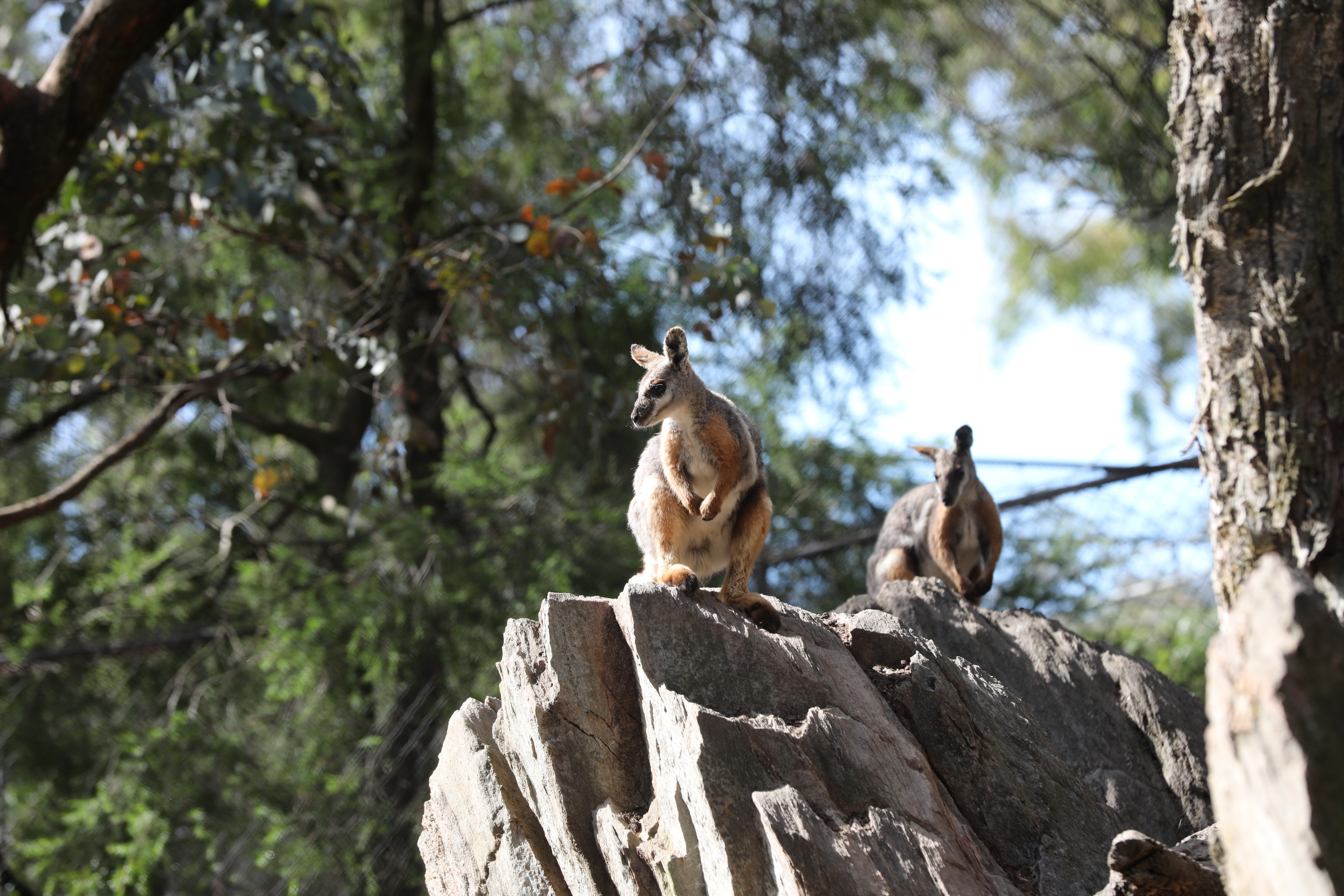 2019 11 22 16 38 02 Canon EOS 5D Mark IV 0035